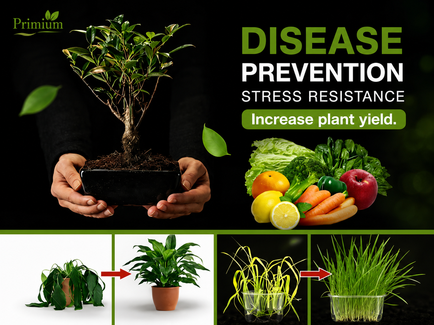 Soil Activator – Mineral Source for Better Soil & Healthier Plant Growth