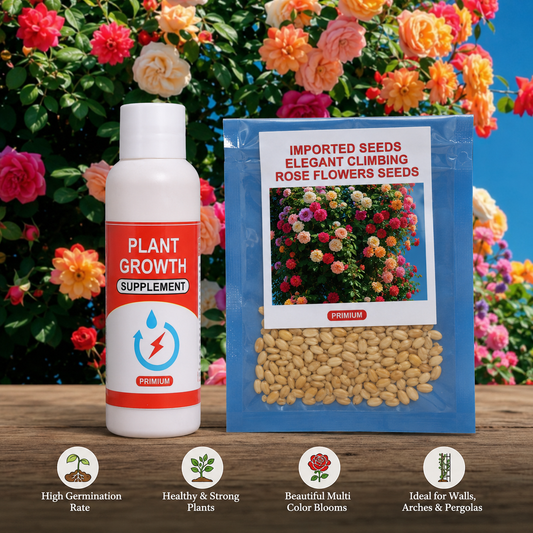 Primium Climbing Rose Seeds Combo – Grow Your Own Rose Paradise at Home