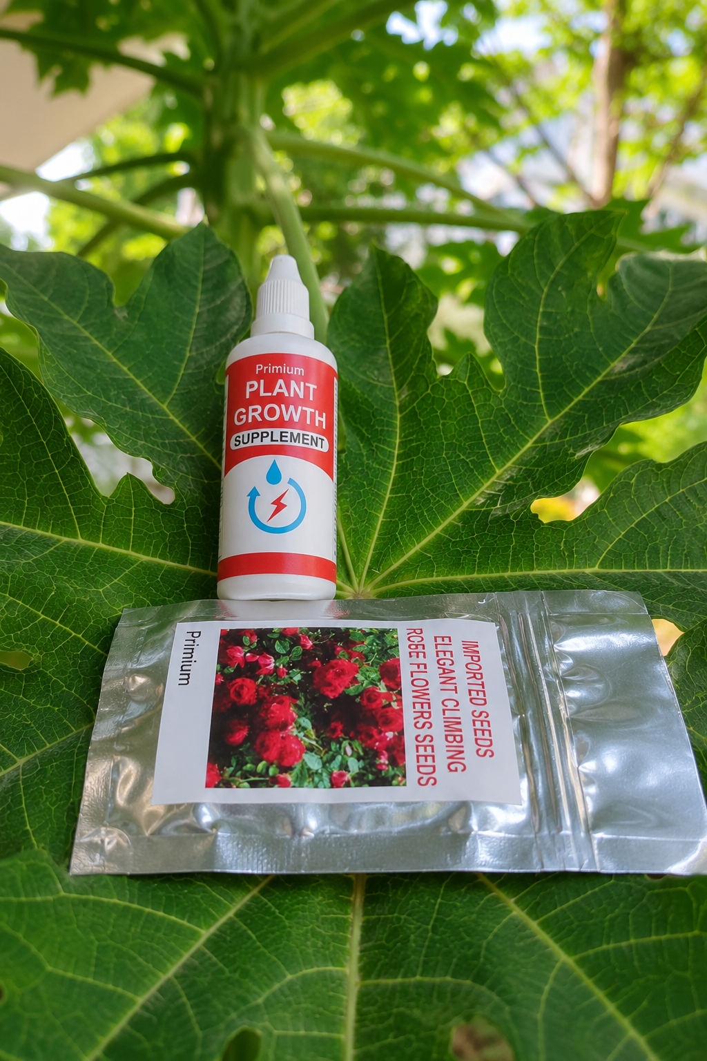 Primium Climbing Rose Seeds Combo – Grow Your Own Rose Paradise at Home