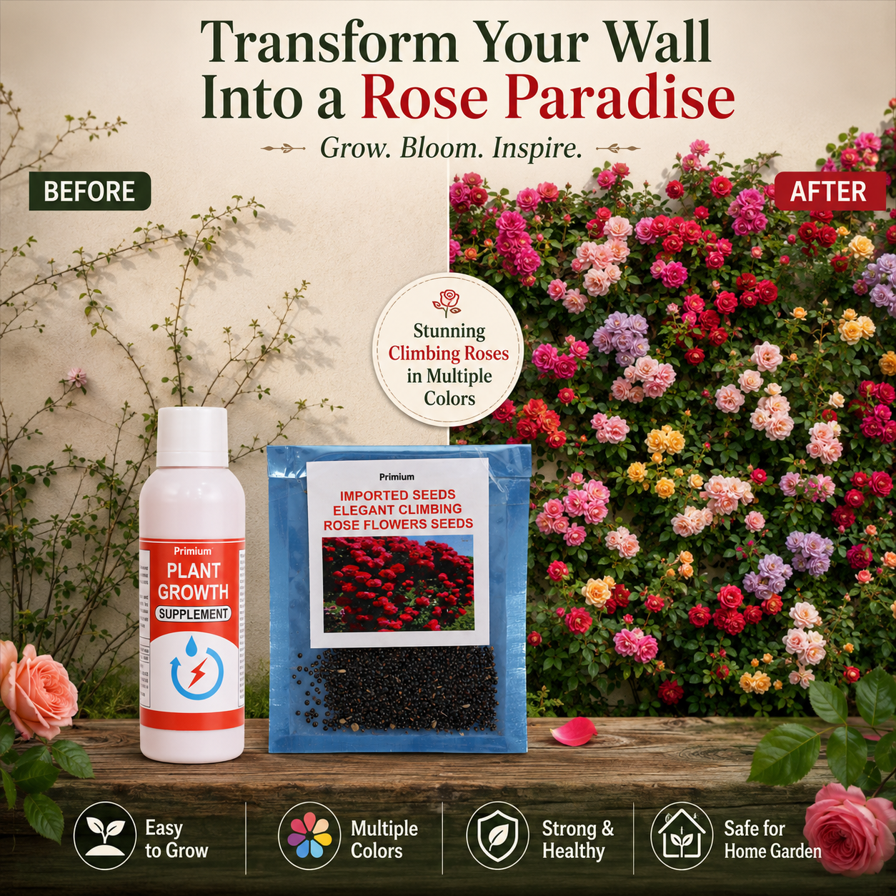 Primium Climbing Rose Seeds Combo – Grow Your Own Rose Paradise at Home